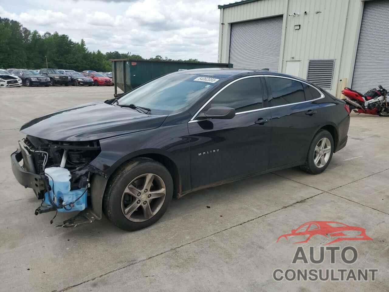 CHEVROLET MALIBU 2019 - 1G1ZB5ST7KF185663