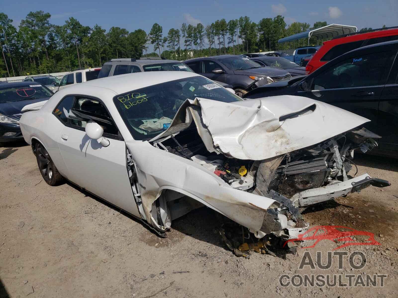 DODGE CHALLENGER 2019 - 2C3CDZBT9KH606431