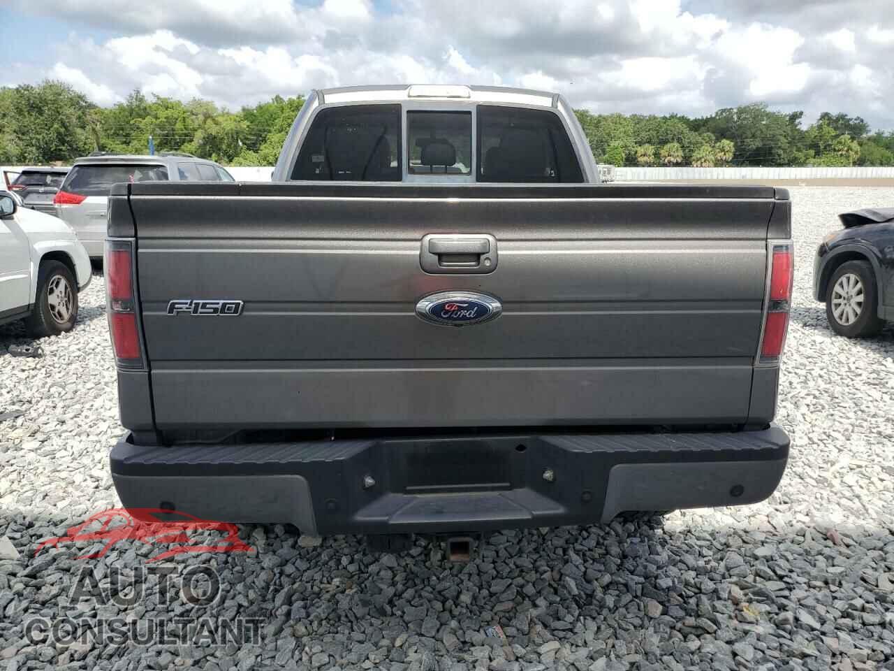 FORD F-150 2013 - 1FTFX1ET7DFB59096