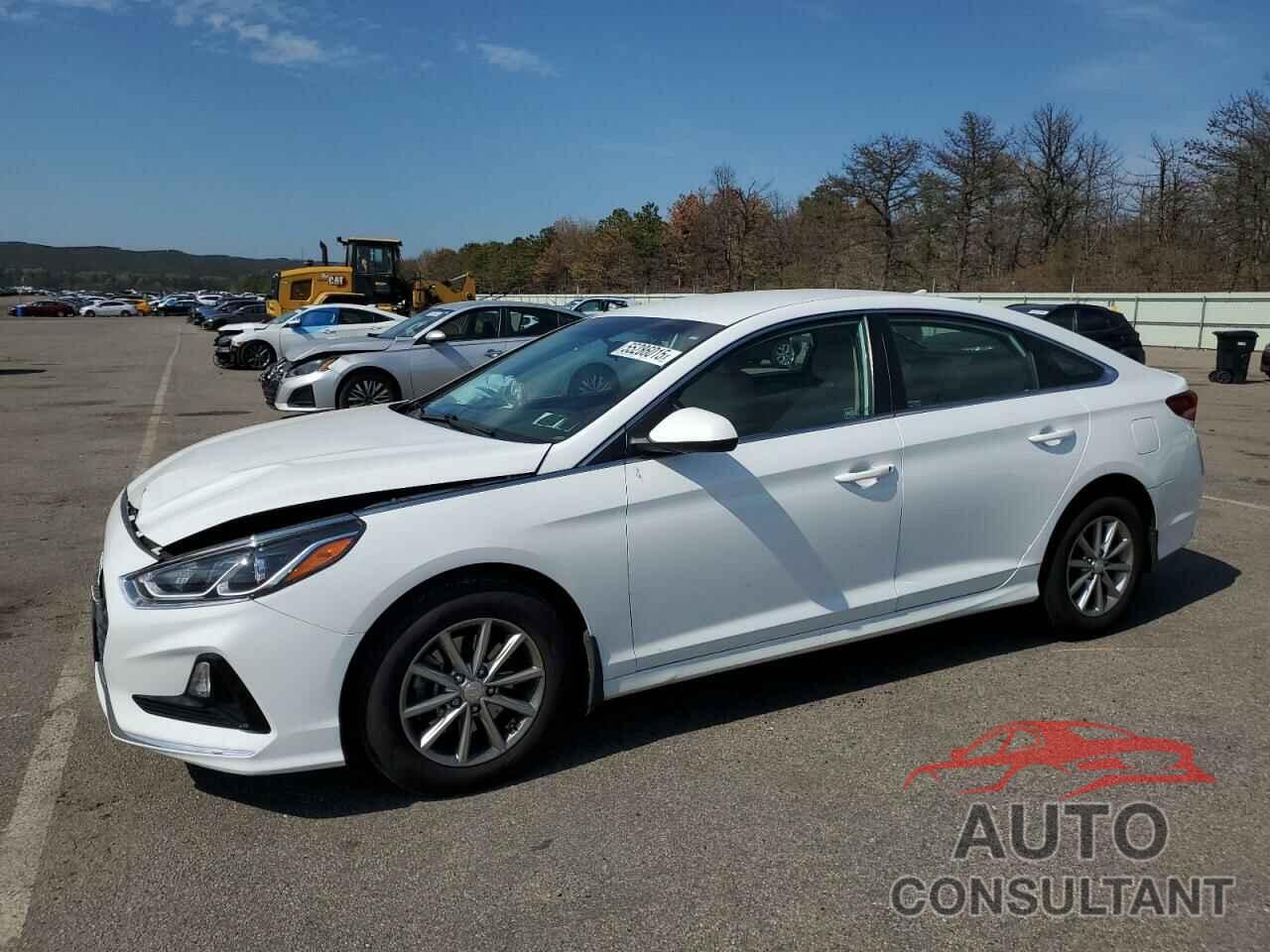 HYUNDAI SONATA 2019 - 5NPE24AF6KH806070