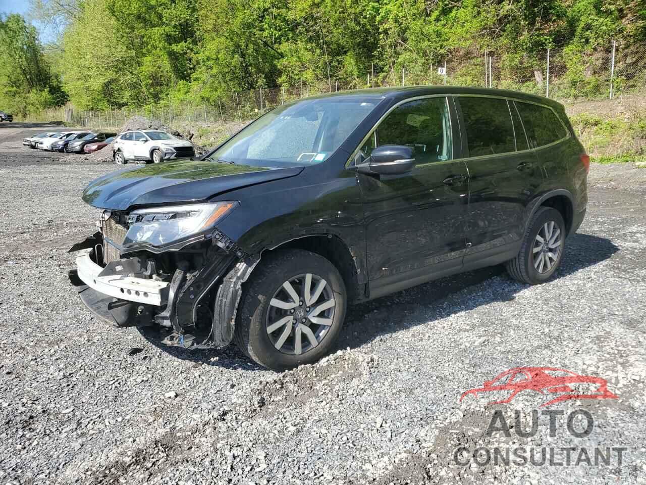 HONDA PILOT 2019 - 5FNYF6H50KB097144