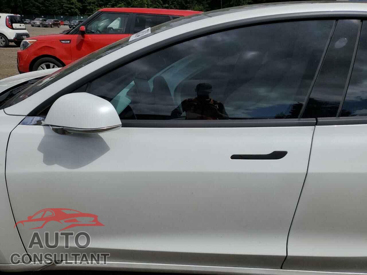TESLA MODEL 3 2019 - 5YJ3E1EA3KF444886