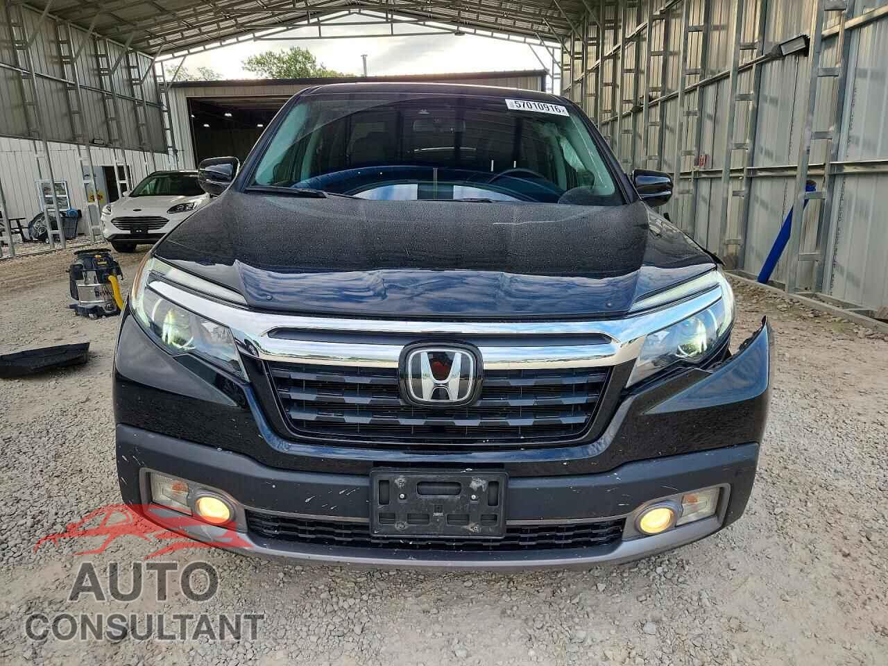 HONDA RIDGELINE 2019 - 5FPYK3F75KB007332