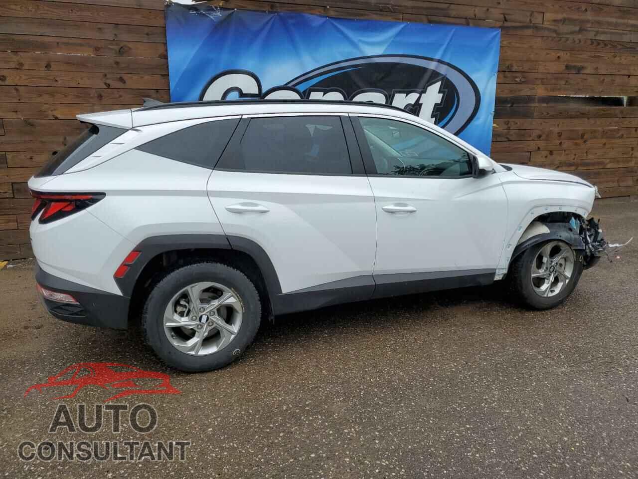 HYUNDAI TUCSON 2024 - KM8JBCDE4RU327511
