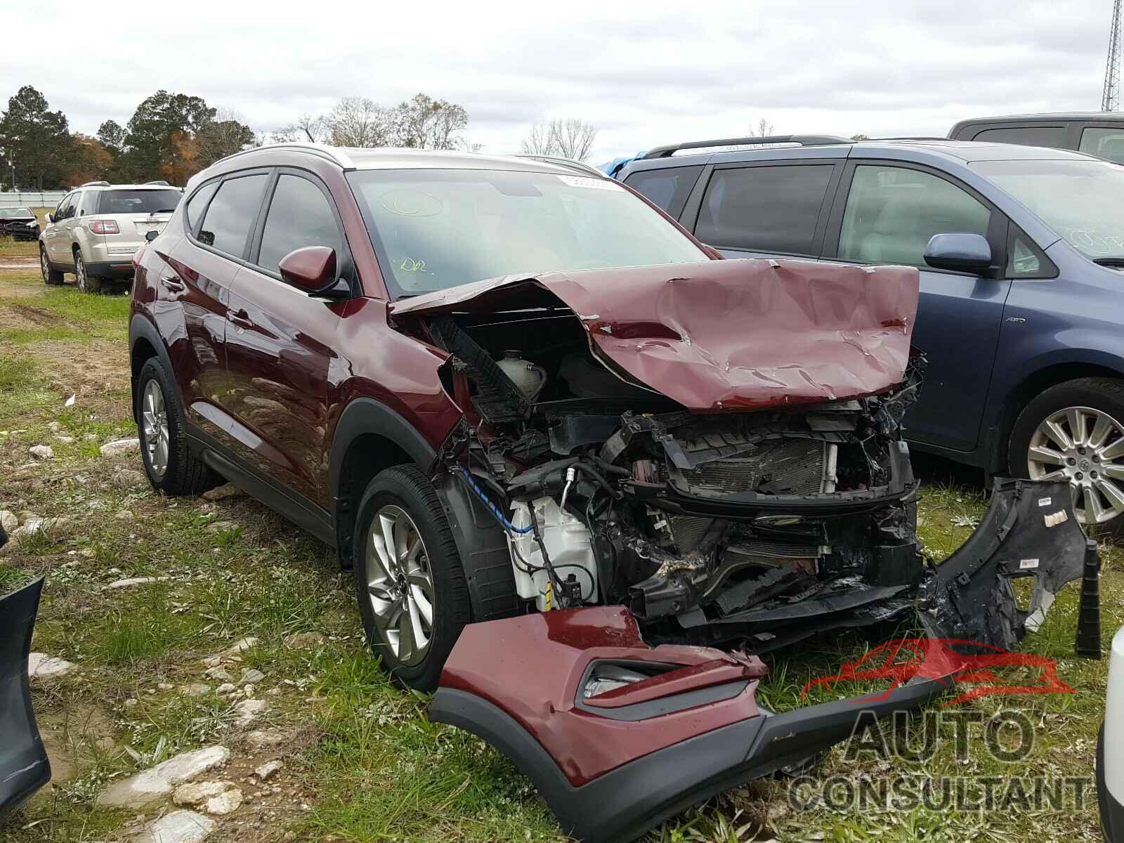 HYUNDAI TUCSON 2016 - KM8J33A49GU160455