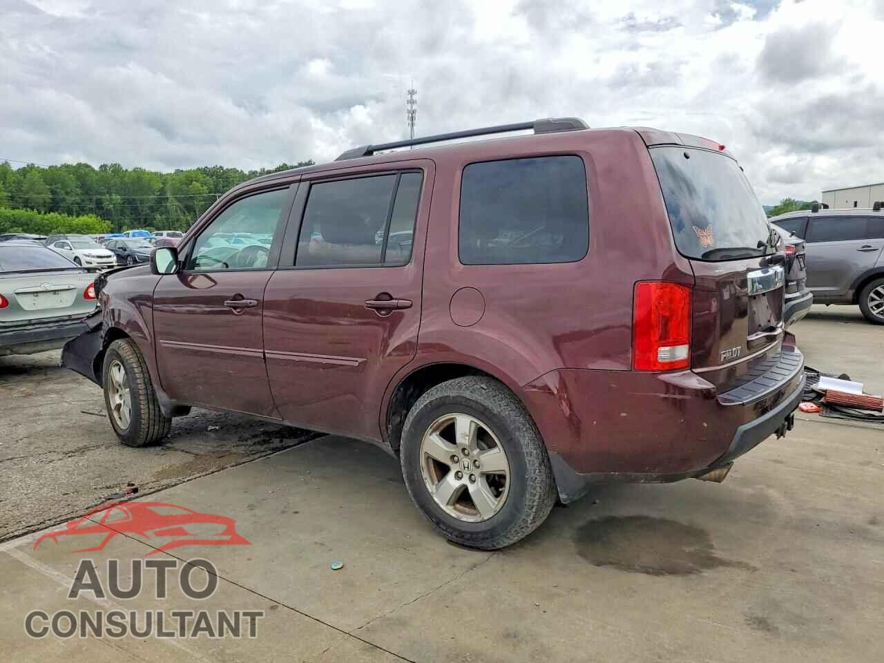 HONDA PILOT 2011 - 5FNYF4H55BB097015
