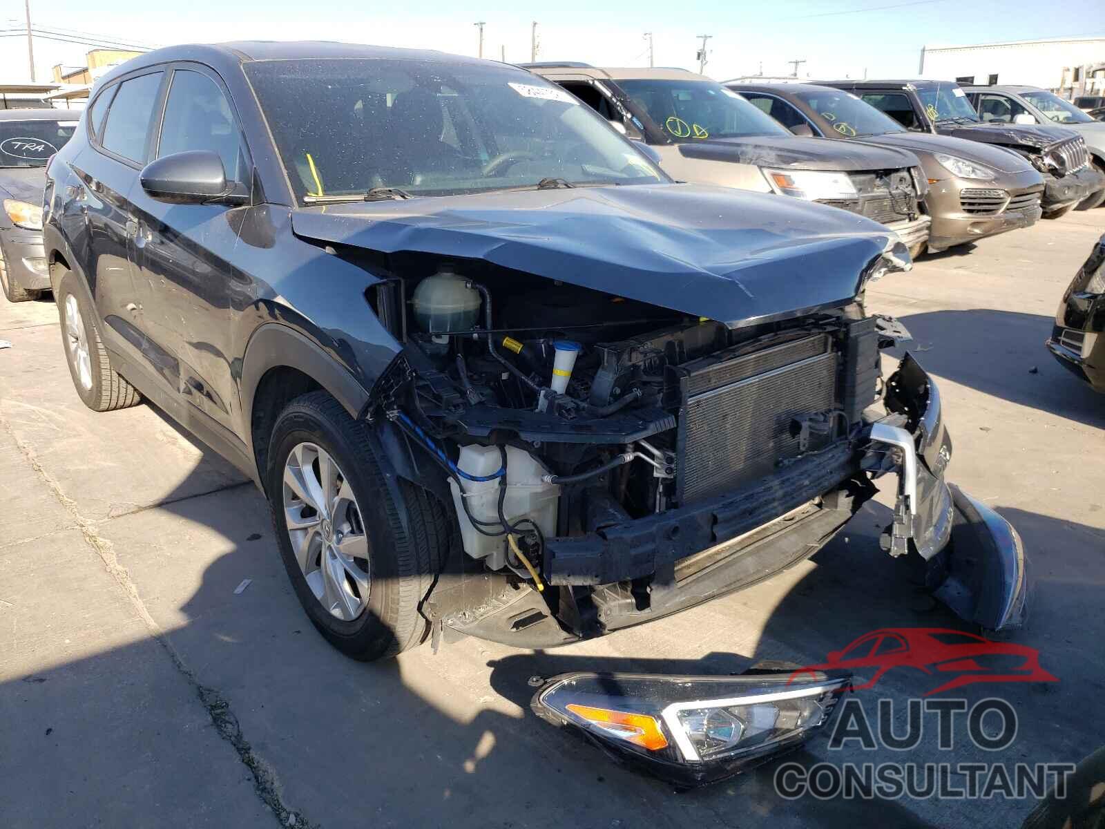 HYUNDAI TUCSON 2019 - KM8J23A40KU912345