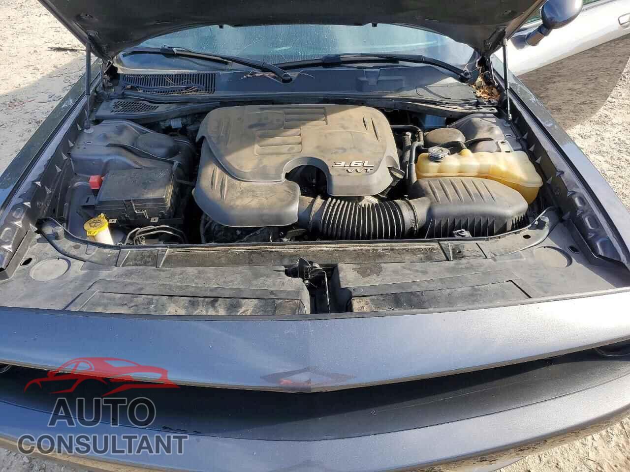 DODGE CHALLENGER 2019 - 2C3CDZAG1KH621459