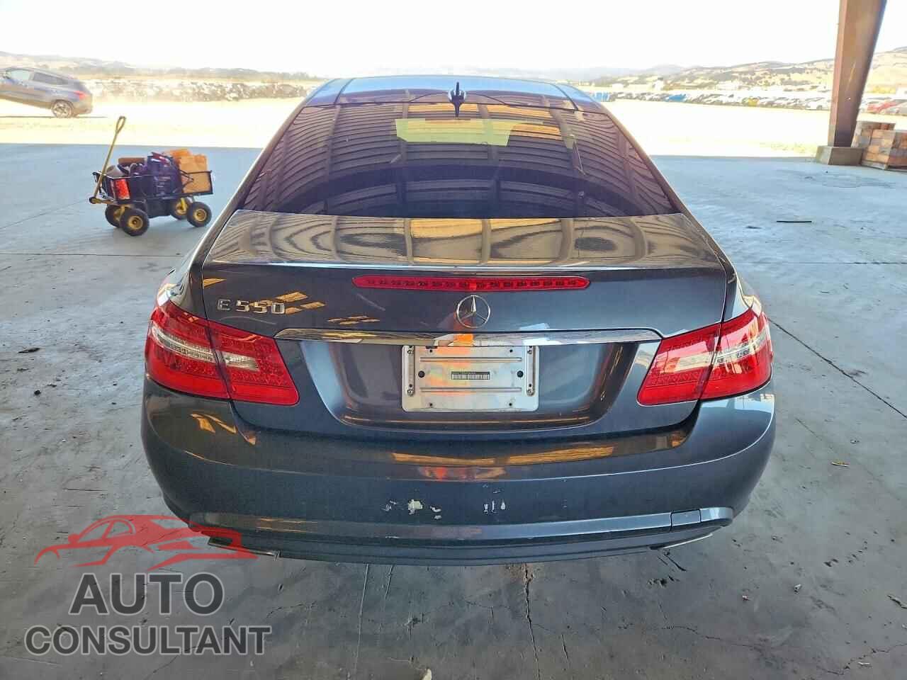 MERCEDES-BENZ E-CLASS 2010 - WDDKJ7CB5AF048481