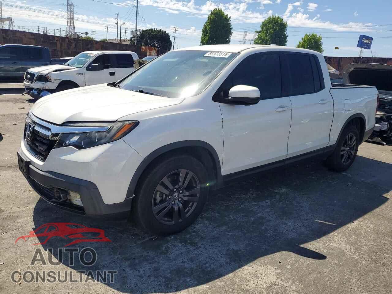 HONDA RIDGELINE 2019 - 5FPYK2F1XKB008577