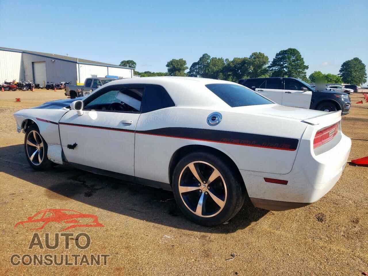 DODGE CHALLENGER 2014 - 2C3CDYBTXEH153483