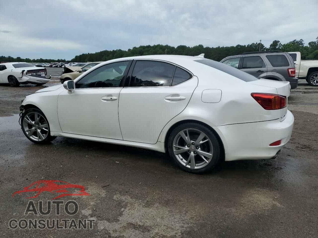 LEXUS IS 2009 - JTHBK262195091107