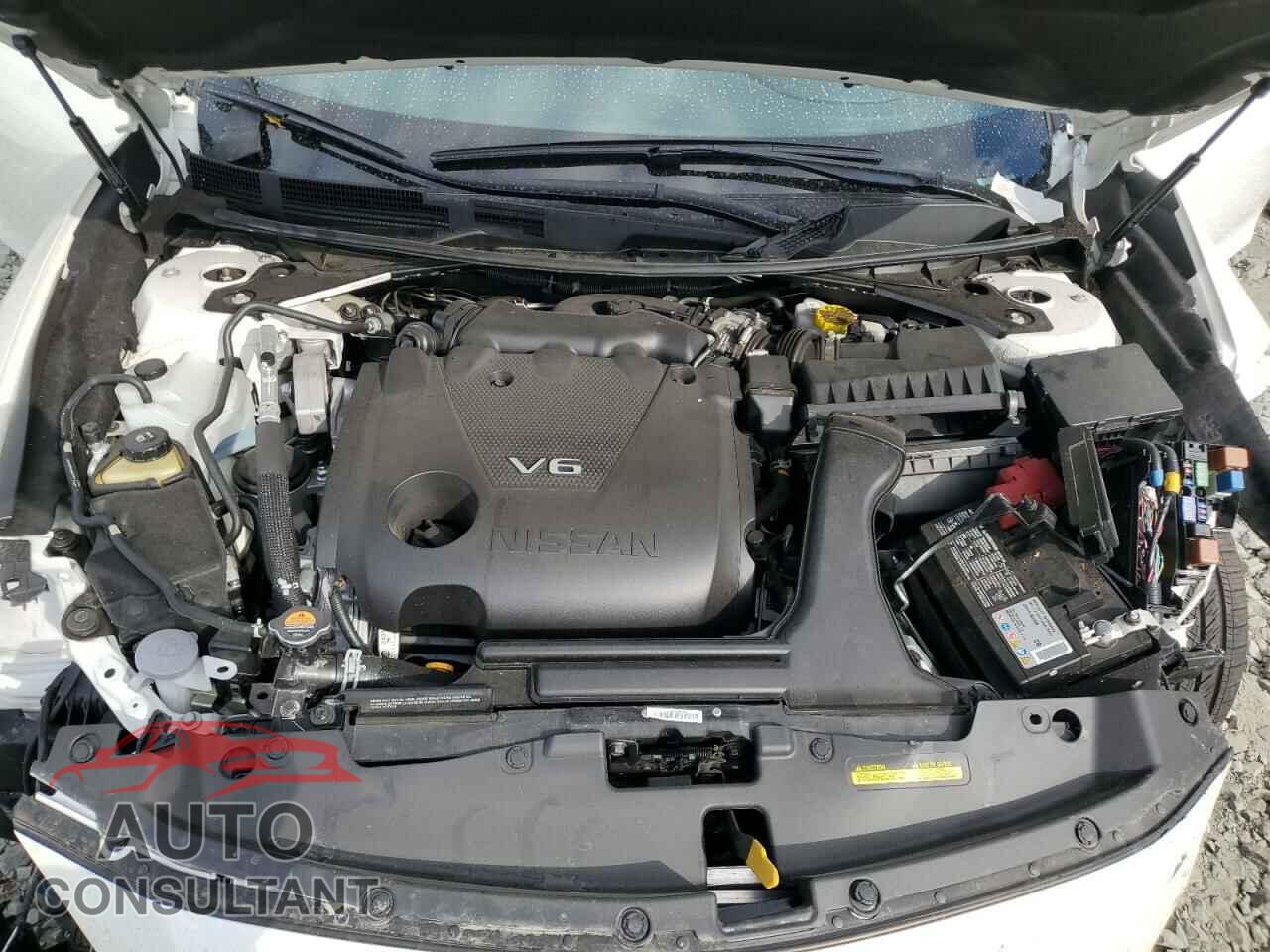 NISSAN MAXIMA 2023 - 1N4AA6EV2PC503696