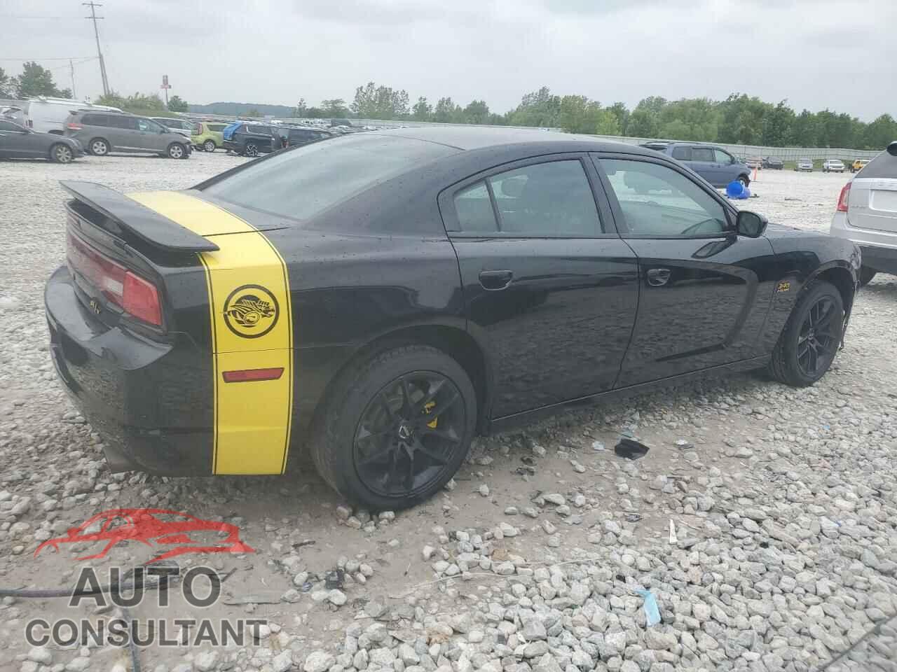 DODGE CHARGER 2013 - 2C3CDXAT2DH693128