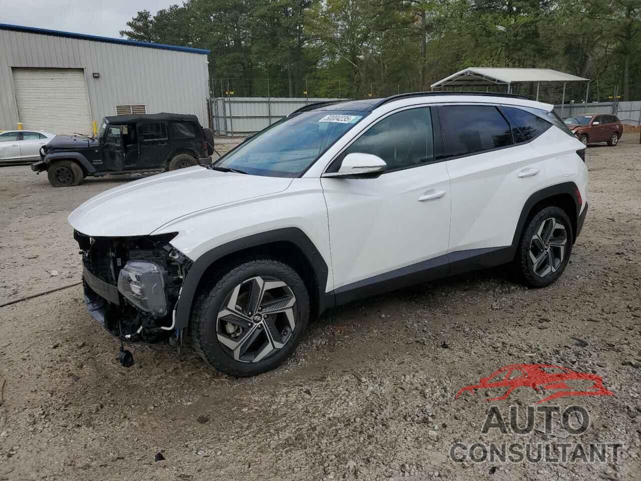 HYUNDAI TUCSON 2023 - 5NMJECAE9PH219342