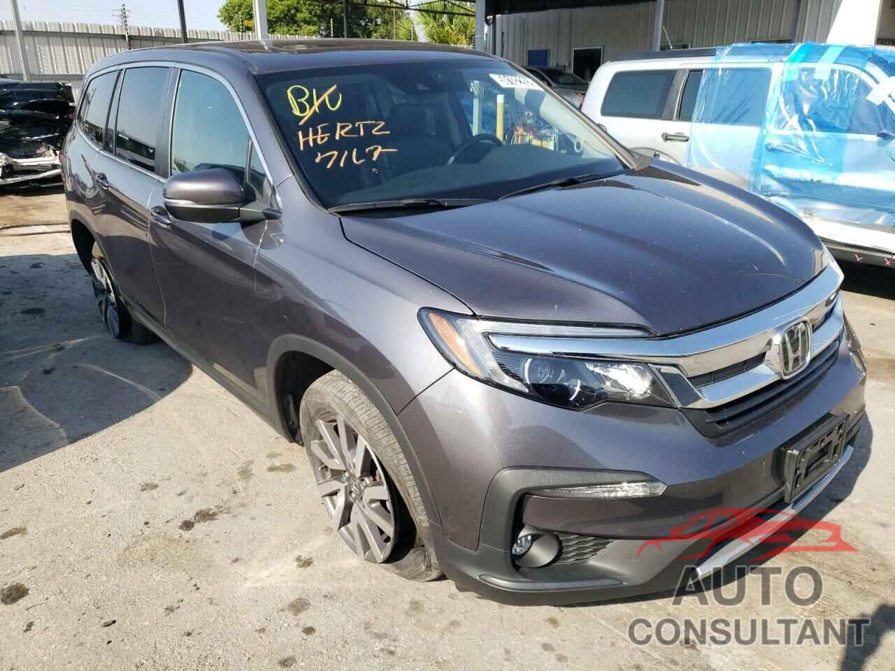 HONDA PILOT 2019 - 5FNYF6H5XKB053796