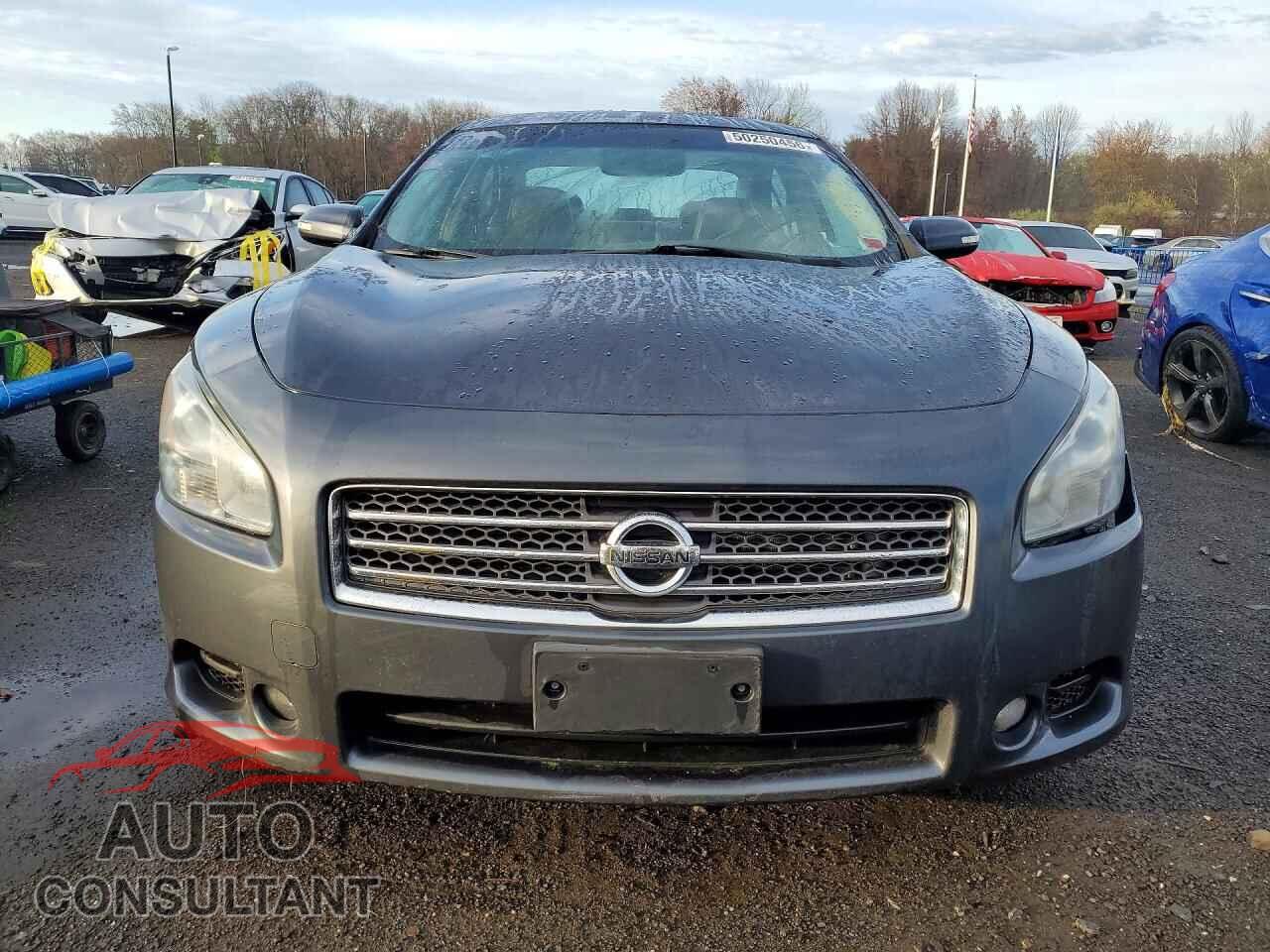 NISSAN MAXIMA 2010 - 1N4AA5AP1AC857508