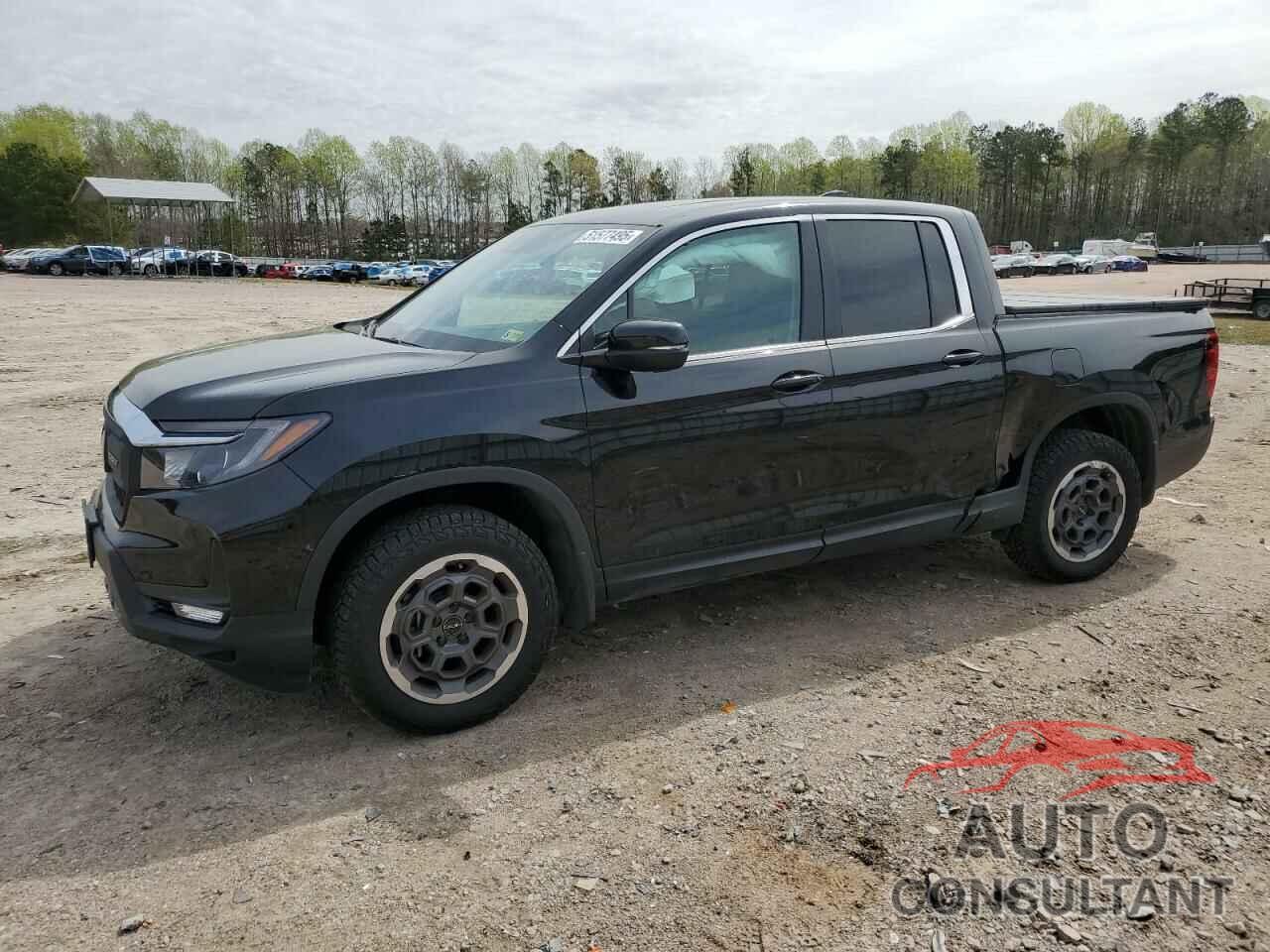 HONDA RIDGELINE 2024 - 5FPYK3F43RB024100