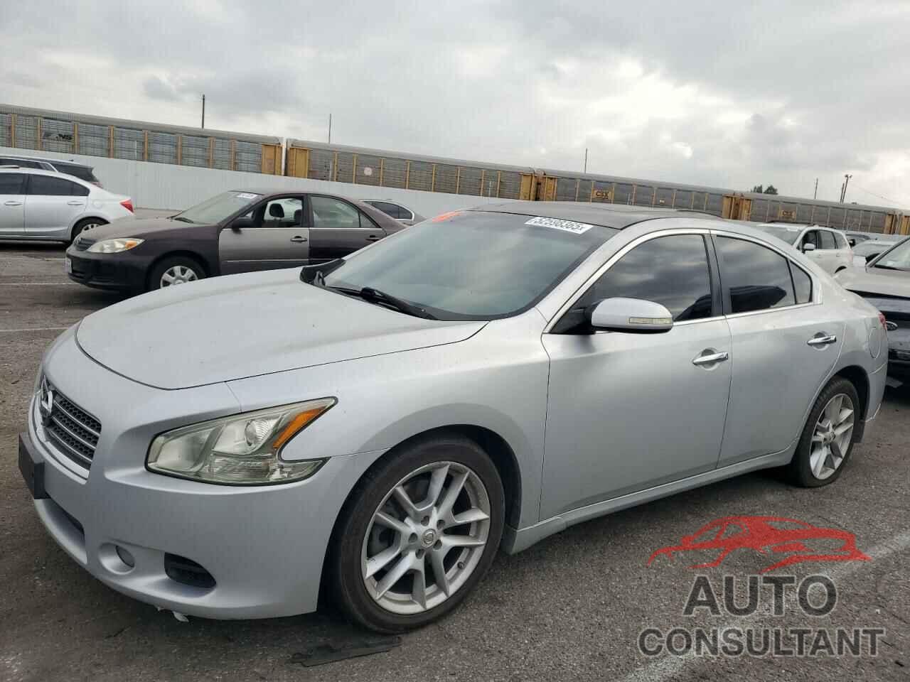 NISSAN MAXIMA 2009 - 1N4AA51E59C834453