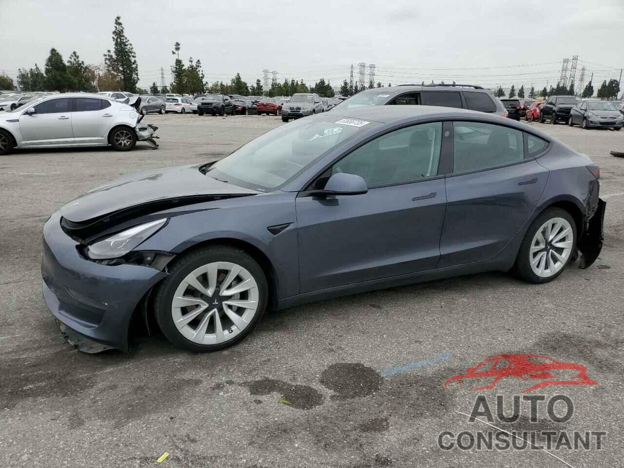 TESLA MODEL 3 2022 - 5YJ3E1EB7NF131613