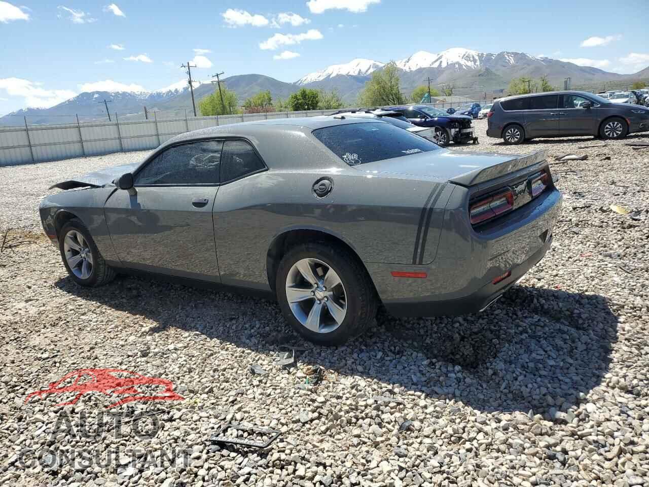 DODGE CHALLENGER 2019 - 2C3CDZAG4KH629636