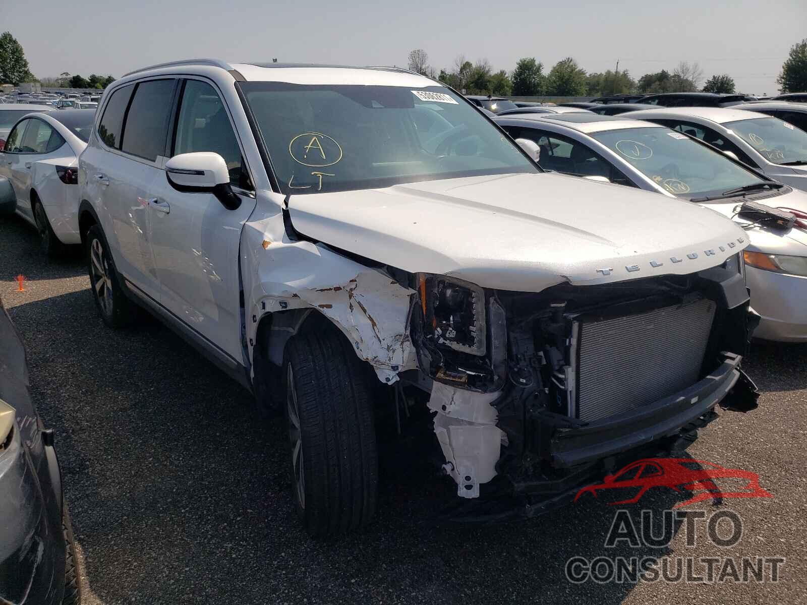 KIA TELLURIDE 2020 - 5XYP5DHC5LG072638