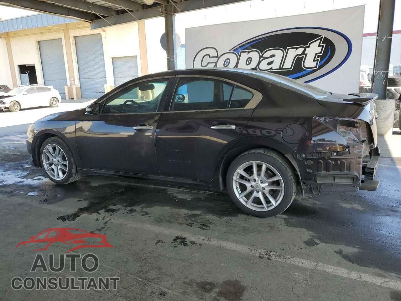 NISSAN MAXIMA 2011 - 1N4AA5AP4BC838534