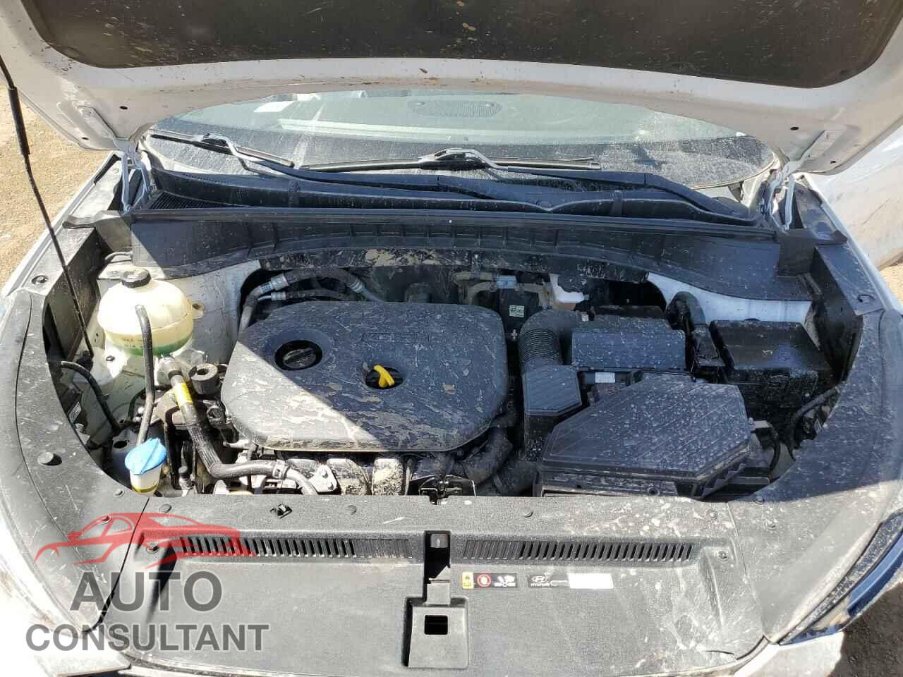 HYUNDAI TUCSON 2020 - KM8J2CA44LU118269