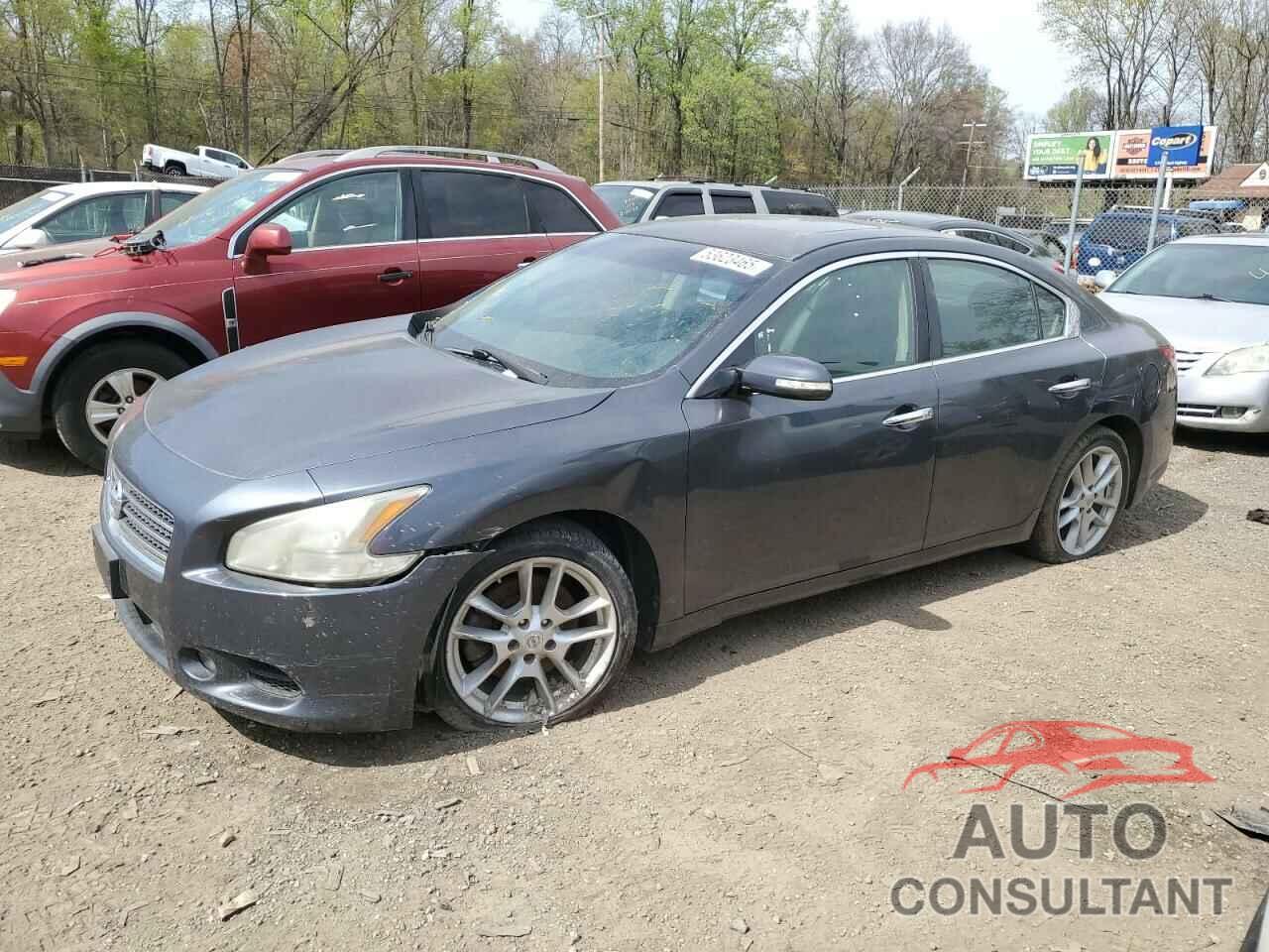 NISSAN MAXIMA 2010 - 1N4AA5APXAC817024