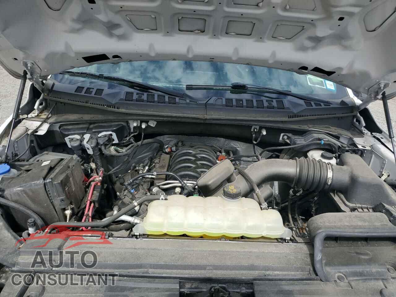 FORD F-150 2019 - 1FTFW1E51KFC28124