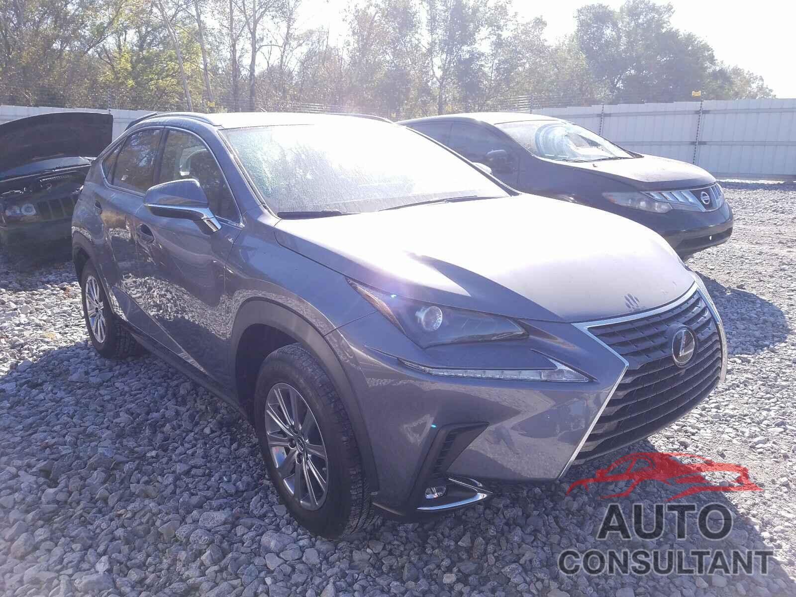 LEXUS NX 2020 - JTJAARBZ9L2175435