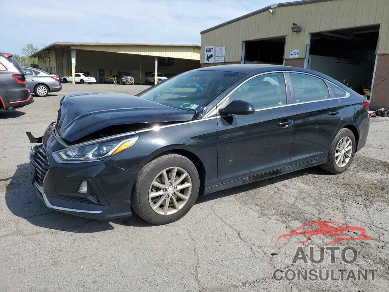 HYUNDAI SONATA 2019 - 5NPE24AF4KH777457