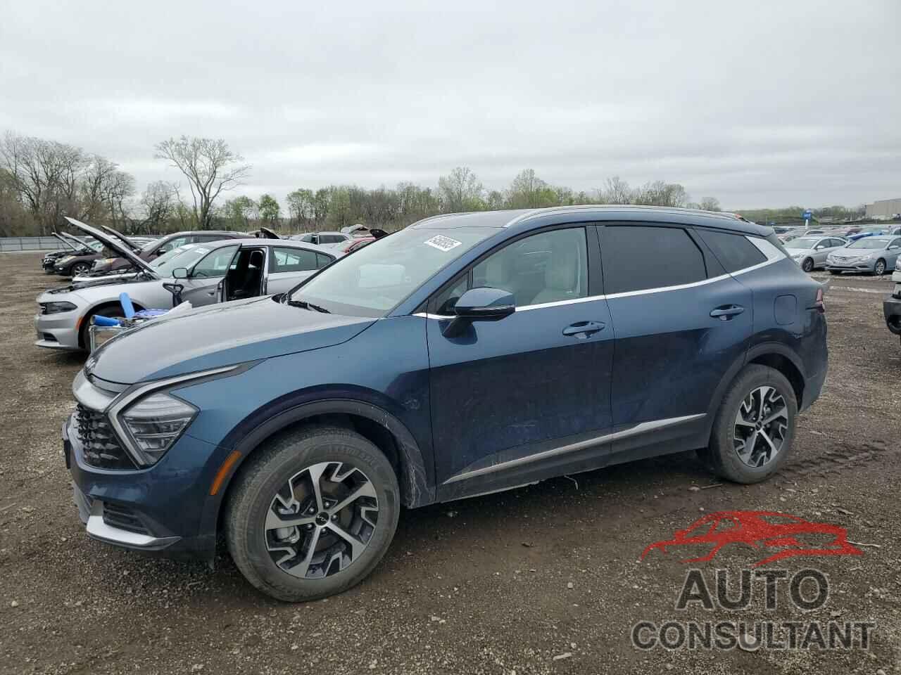 KIA SPORTAGE 2024 - KNDPVCDG7R7156047