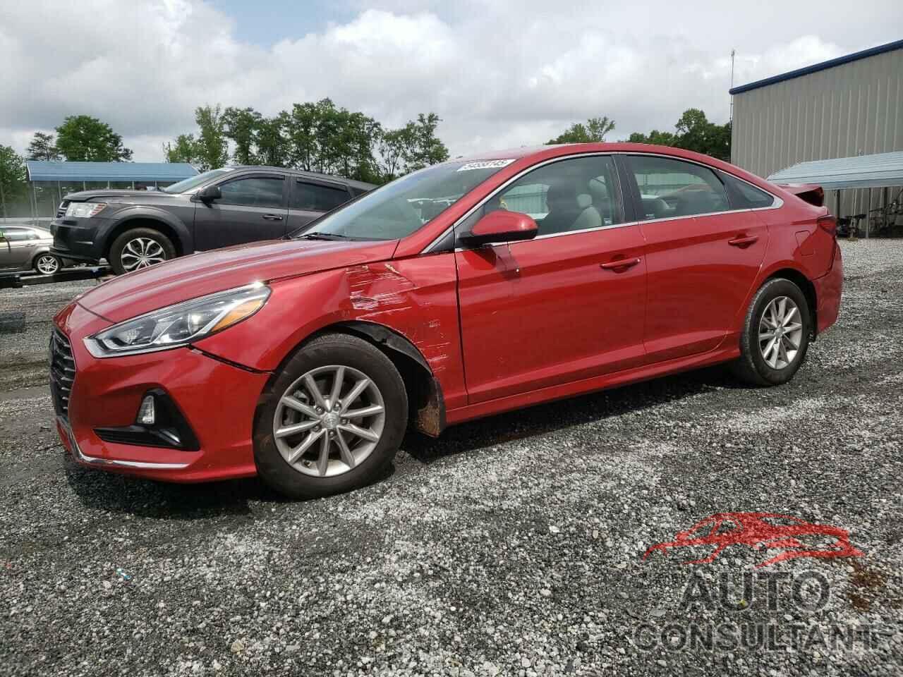 HYUNDAI SONATA 2019 - 5NPE24AF5KH796325