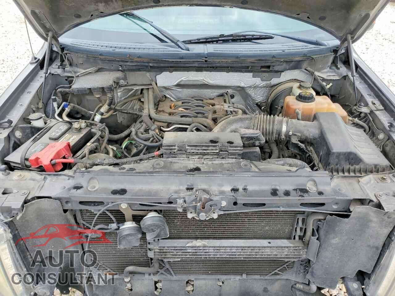 FORD F150 2011 - 1FTFX1CFXBFB81152