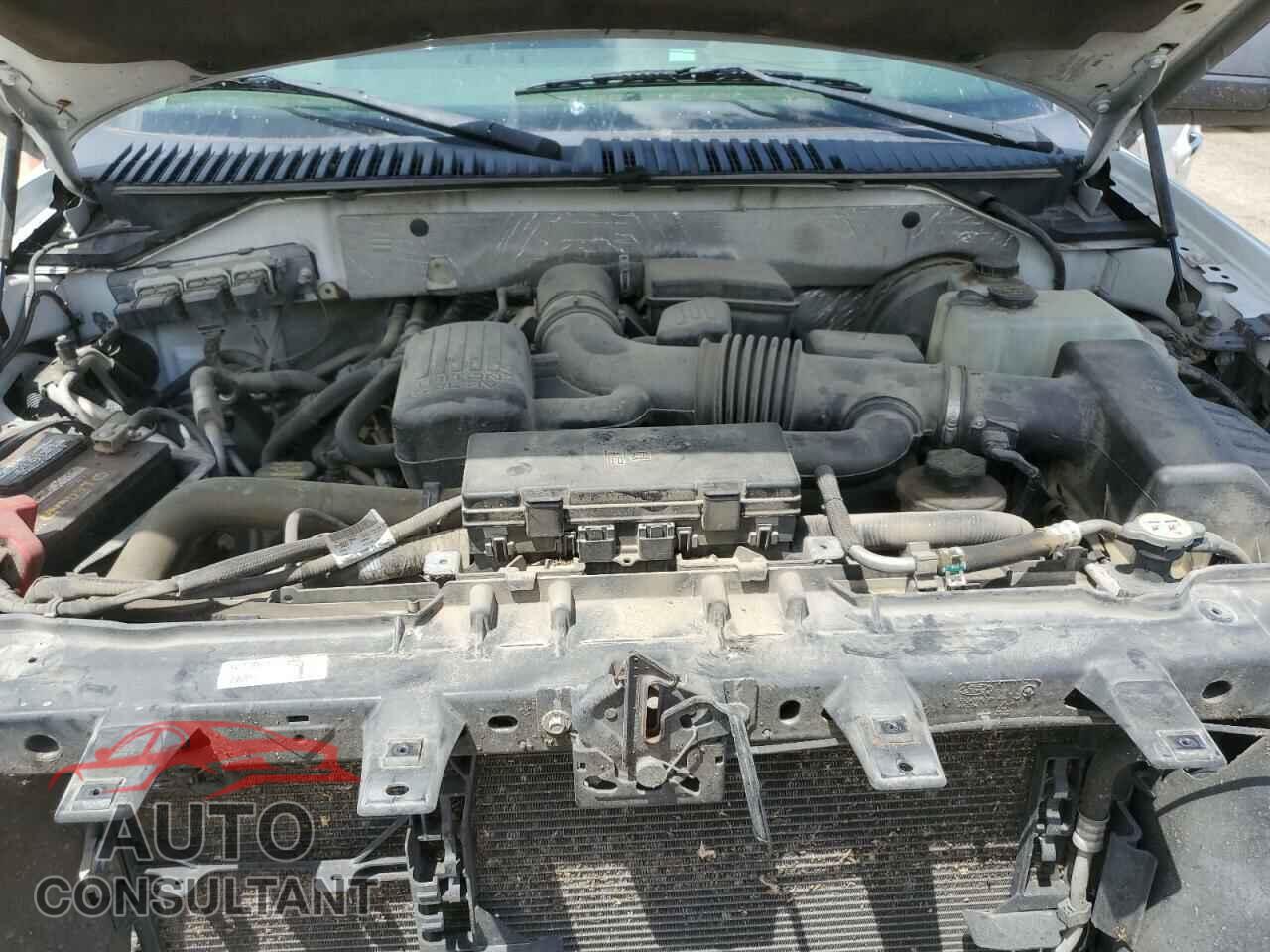 FORD EXPEDITION 2009 - 1FMFU15599EA84520