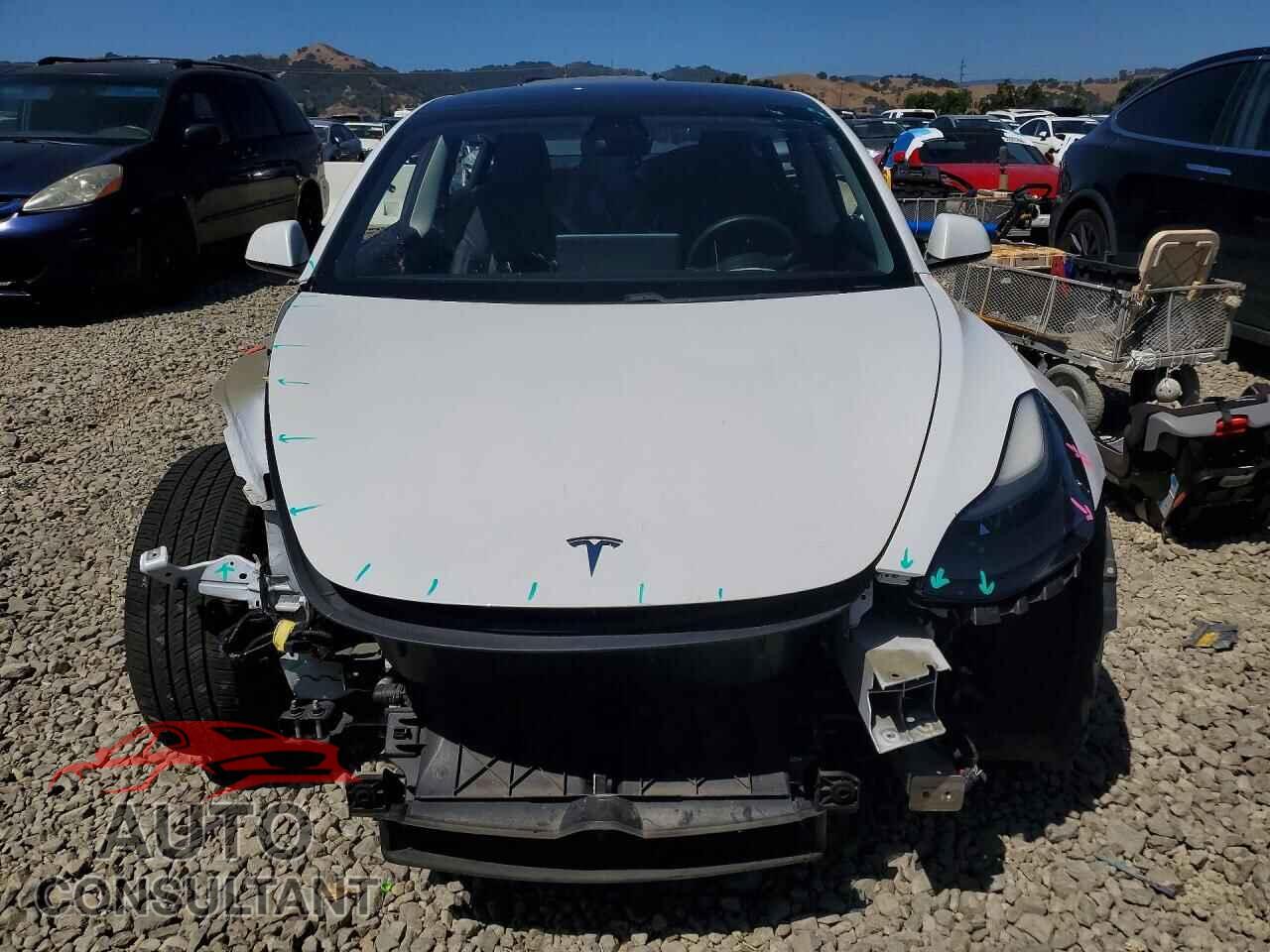 TESLA MODEL 3 2021 - 5YJ3E1EA4MF870699