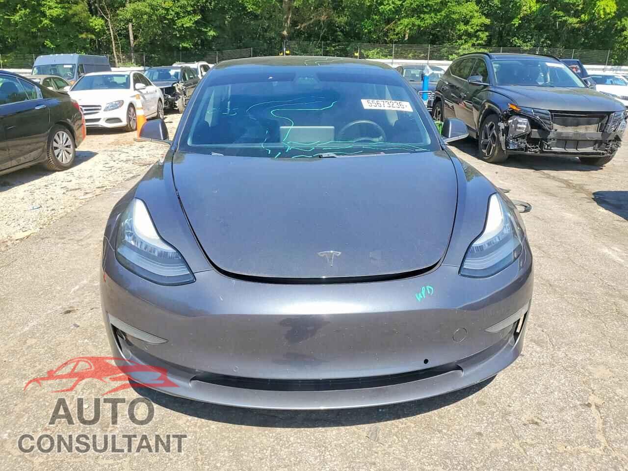 TESLA MODEL 3 2019 - 5YJ3E1EB0KF481337