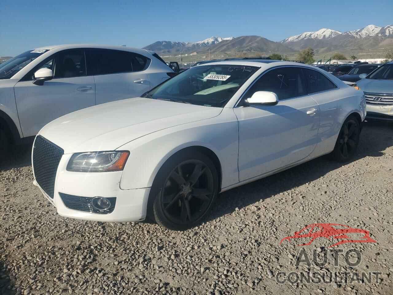 AUDI A5 2010 - WAULFAFR7AA071955
