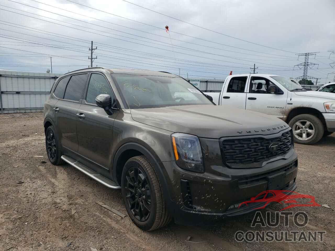 KIA TELLURIDE 2021 - 5XYP5DHC9MG135046