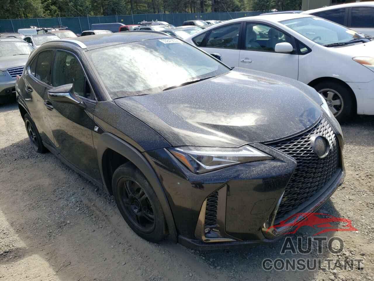 LEXUS UX 200 2019 - JTHY3JBHXK2006509