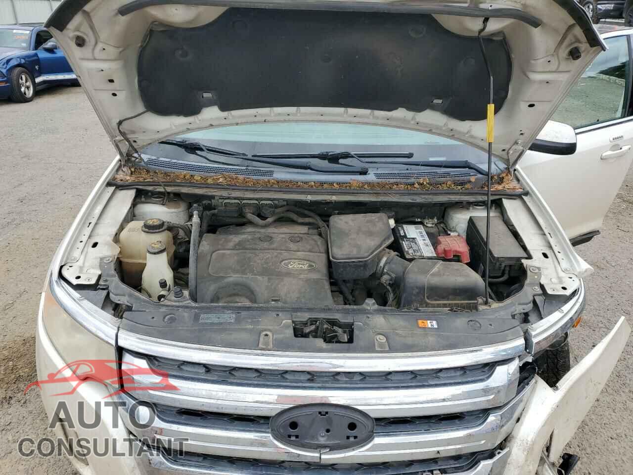 FORD EDGE 2011 - 2FMDK3KC2BBB64917