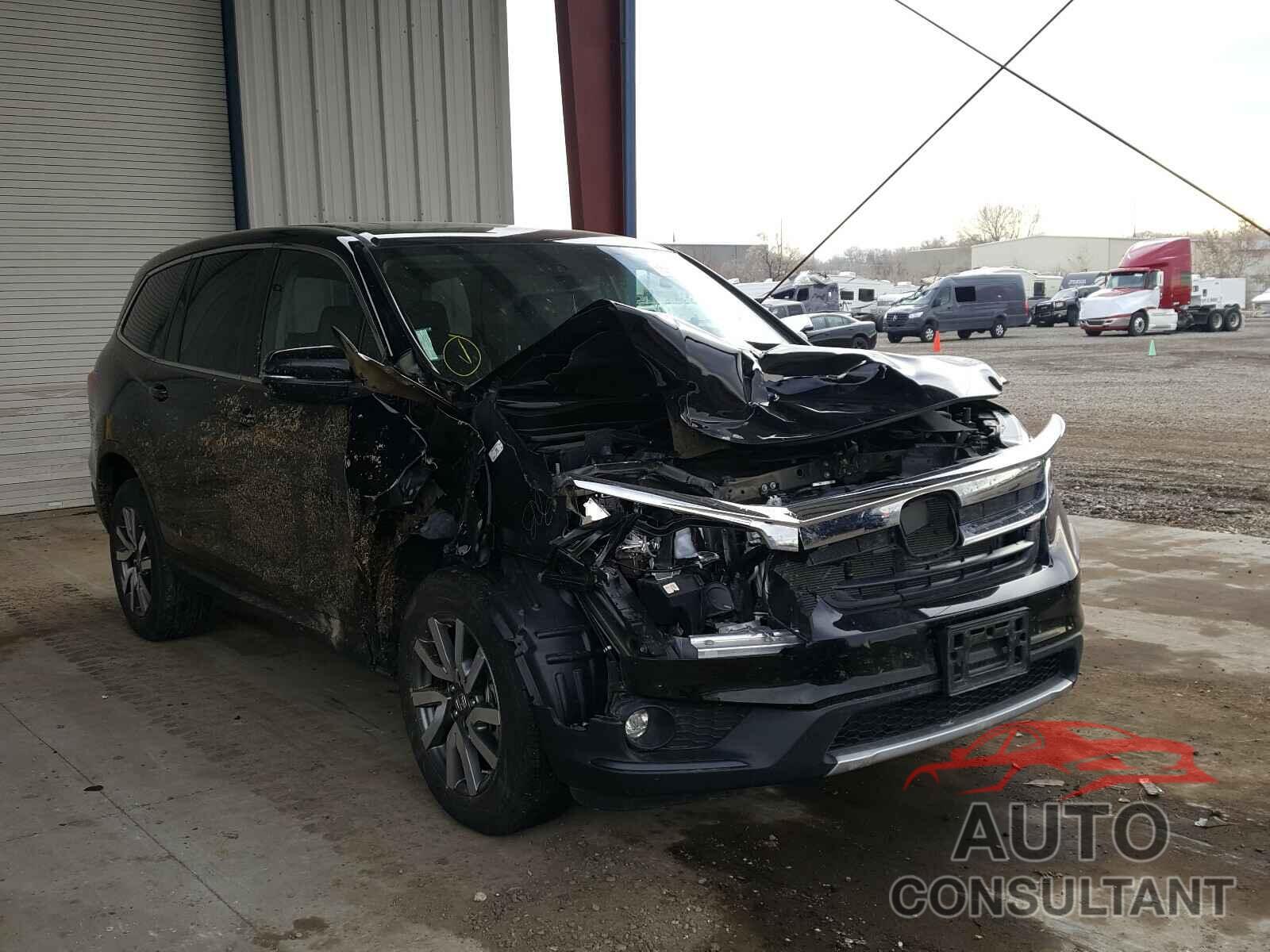 HONDA PILOT 2019 - 5FNYF6H5XKB024234