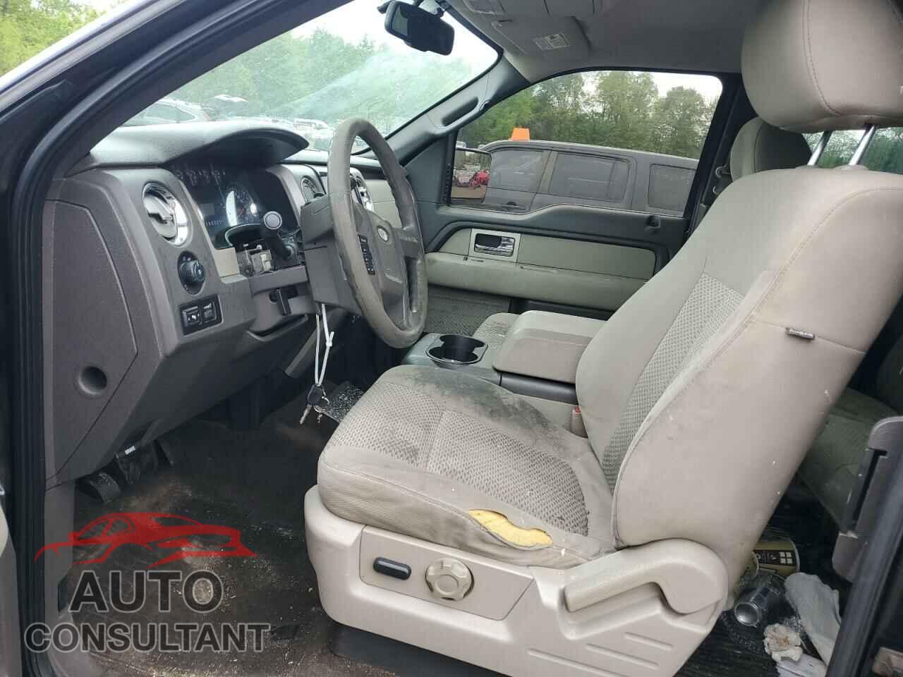 FORD F-150 2010 - 1FTFX1EV3AFA54987
