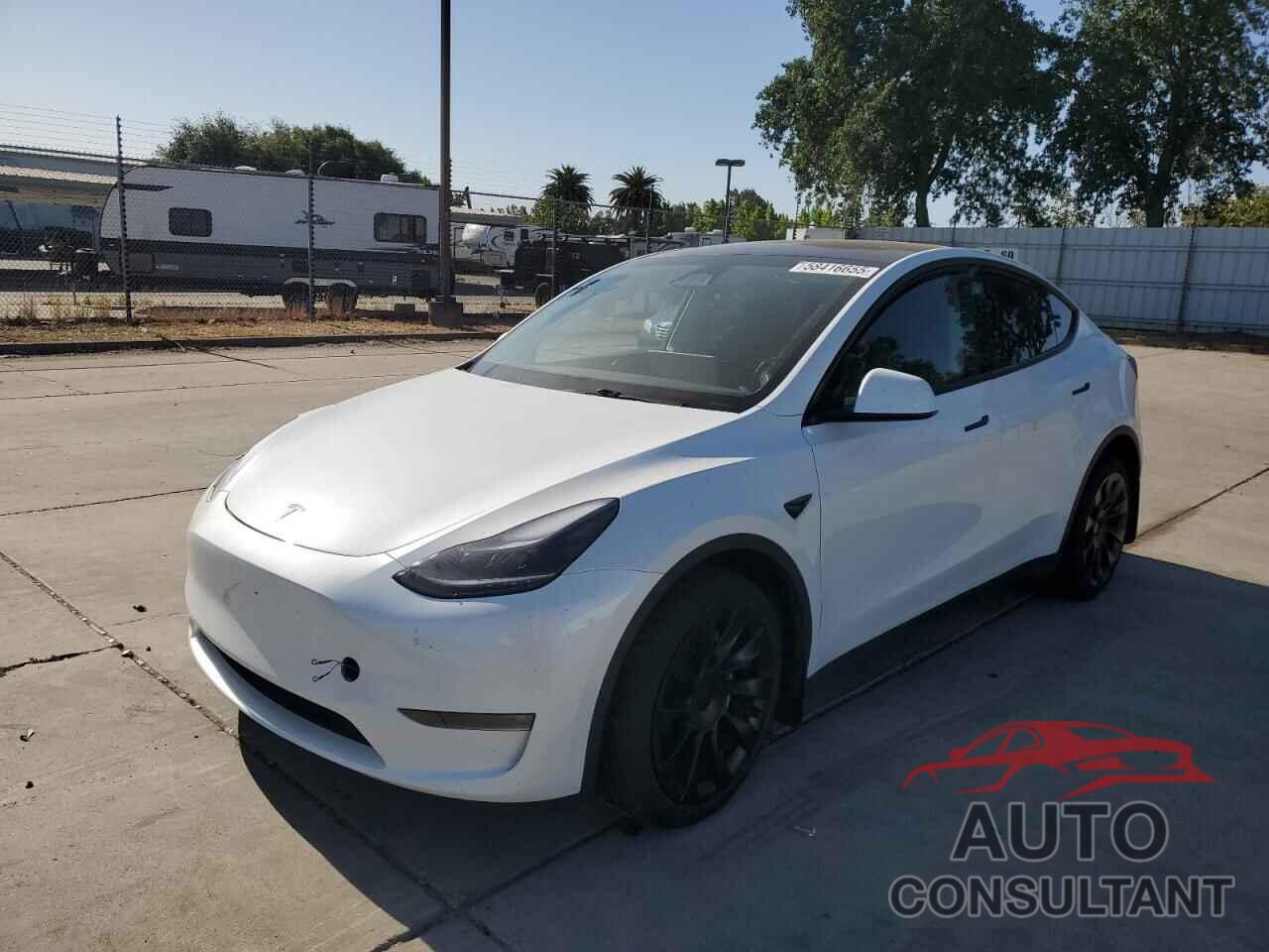 TESLA MODEL Y 2024 - 7SAYGDEE2RF071146