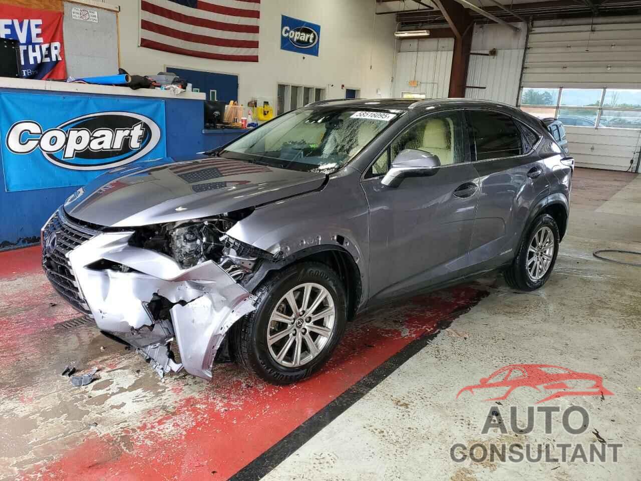 LEXUS NX 2021 - JTJDJRDZ3M2152213