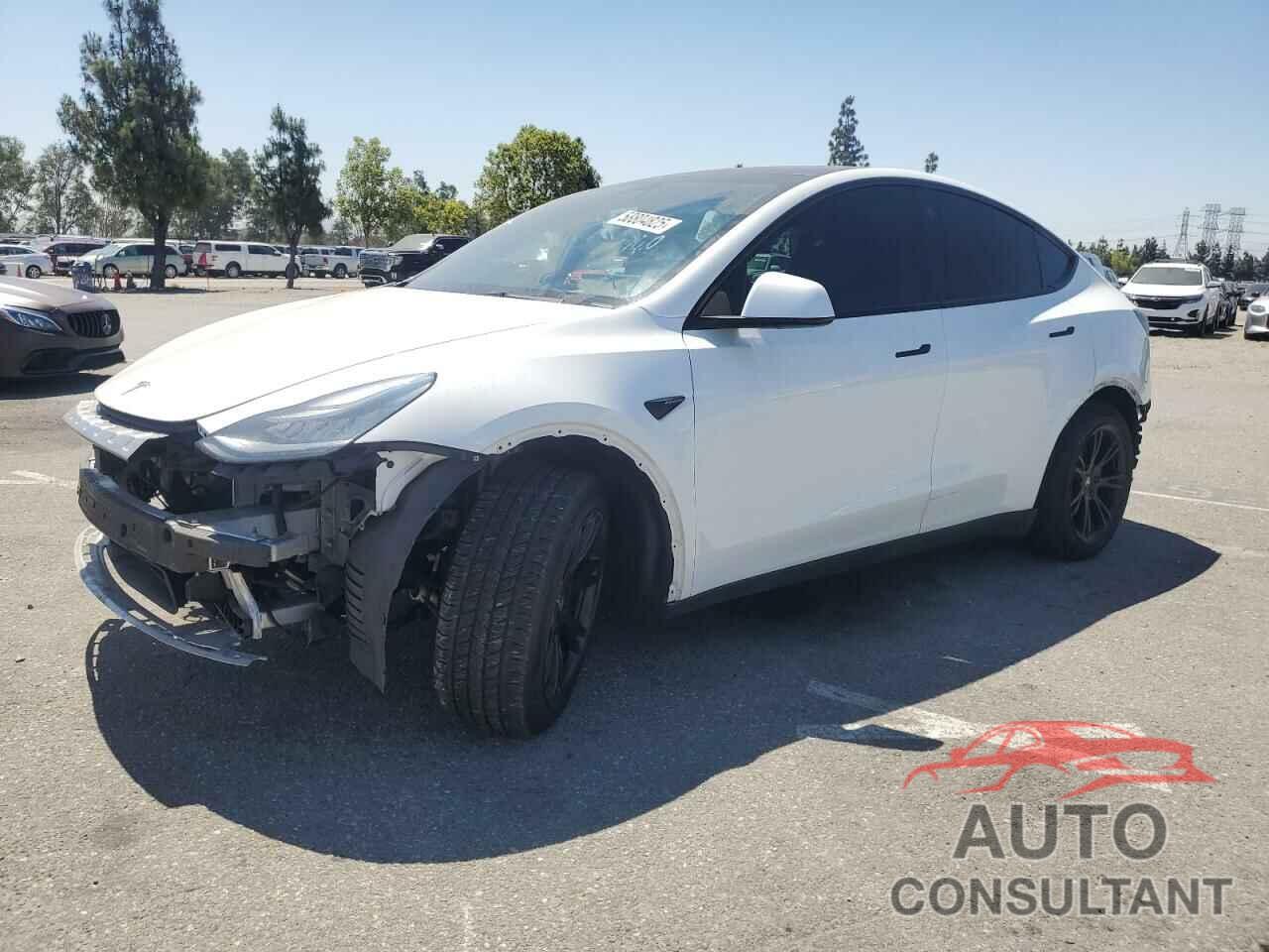 TESLA MODEL Y 2021 - 5YJYGDEE0MF153074