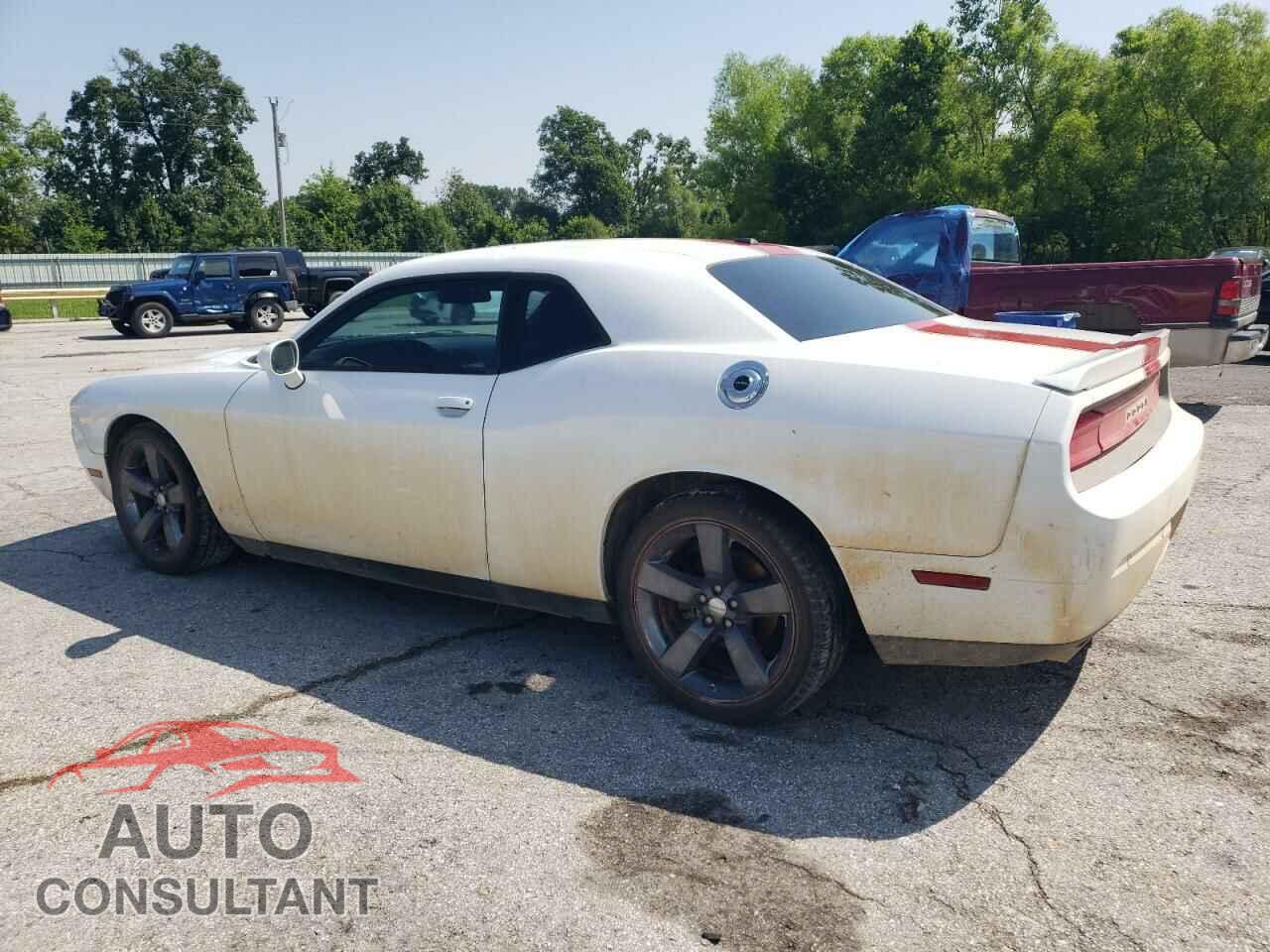 DODGE CHALLENGER 2013 - 2C3CDYAG7DH548725