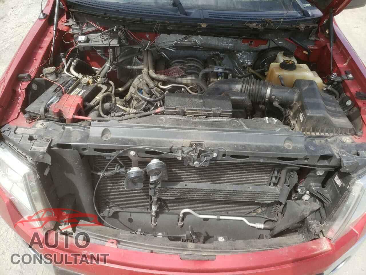 FORD F-150 2012 - 1FTFX1CF7CFC50736