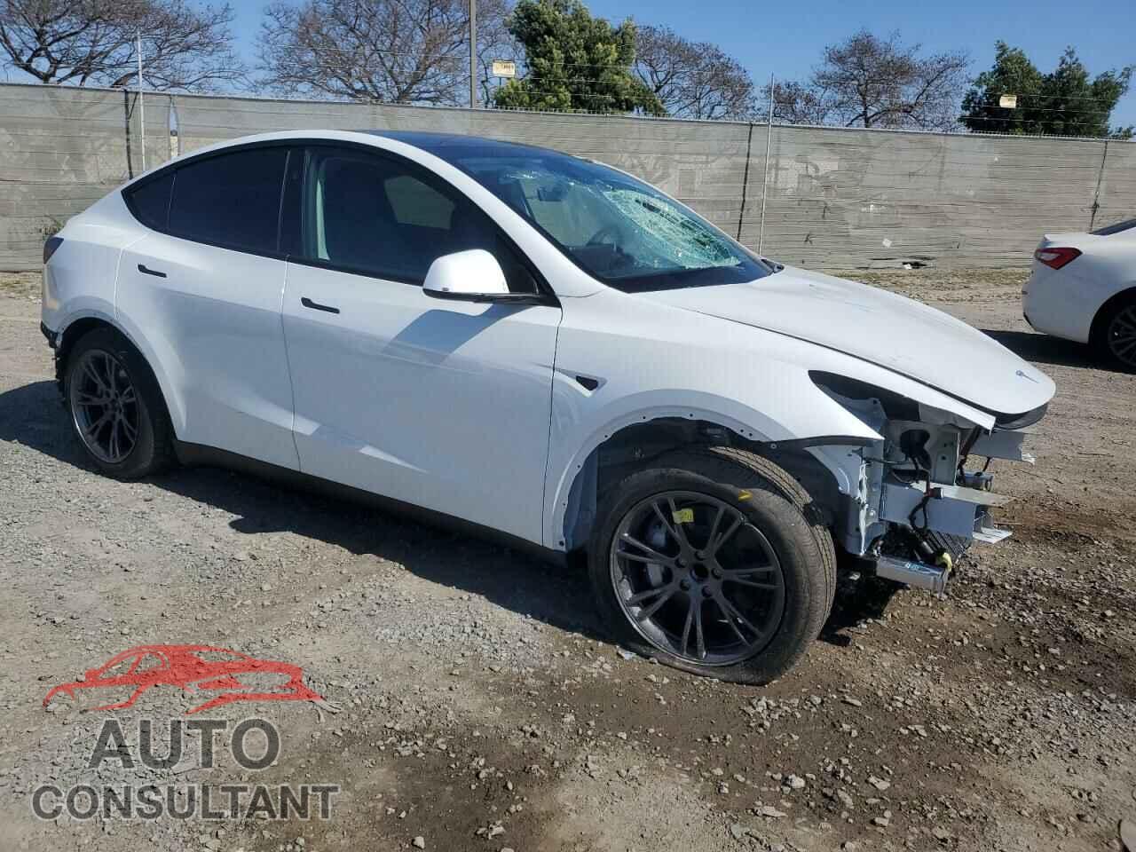 TESLA MODEL Y 2024 - 7SAYGDED3RF202236
